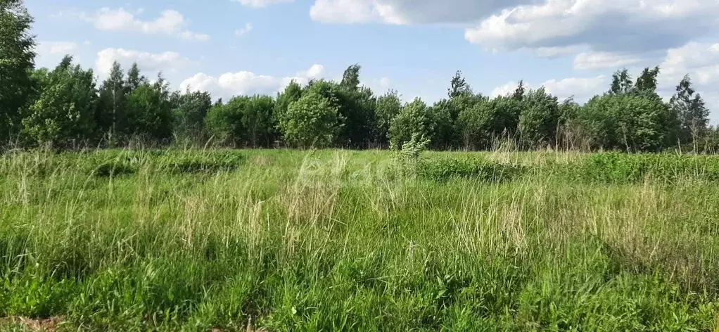 Участок в Калужская область, Бабынинский район, Утешево с/пос, с. ... - Фото 2