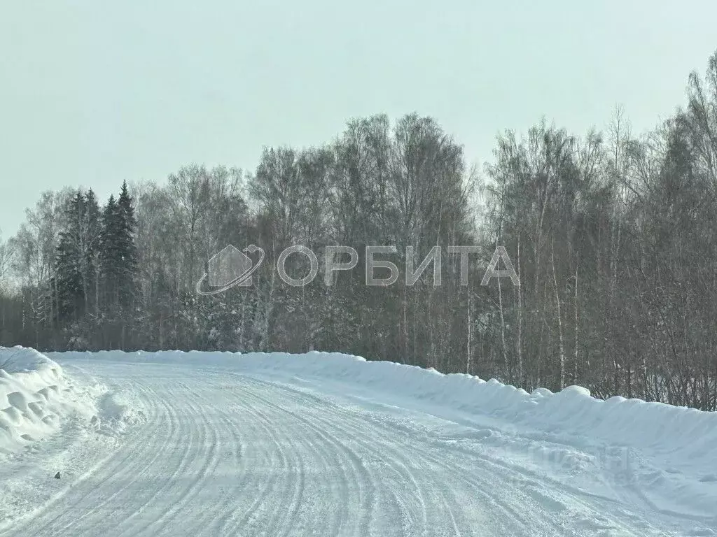 Участок в Тюменская область, Тюмень Поле Чудес-2 садовое товарищество, ... - Фото 2