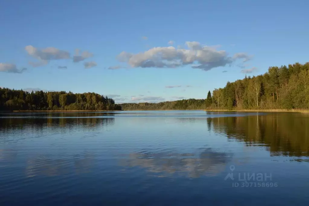 комната новгородская область, валдайский район, рощинское с/пос, д. . - Фото 1