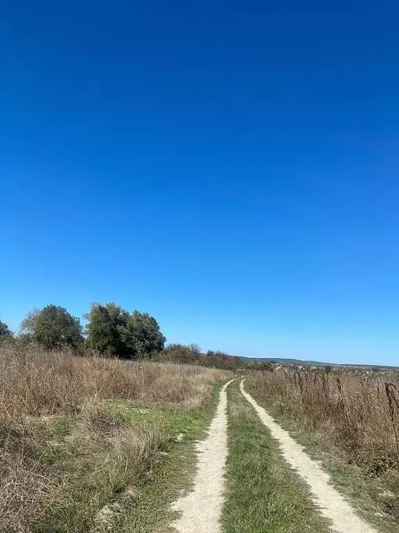 Участок в Краснодарский край, Анапа муниципальный округ, с. Гай-Кодзор ... - Фото 0