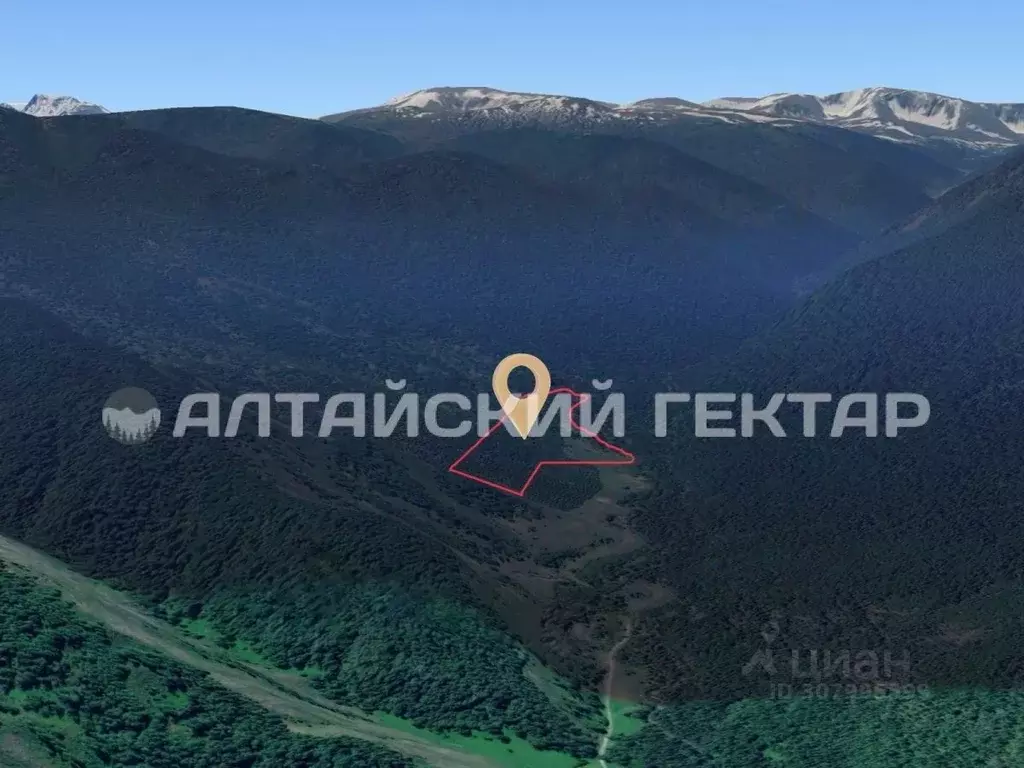 Участок в Алтай, Усть-Коксинский район, с. Тихонькая Центральная ул., ... - Фото 1