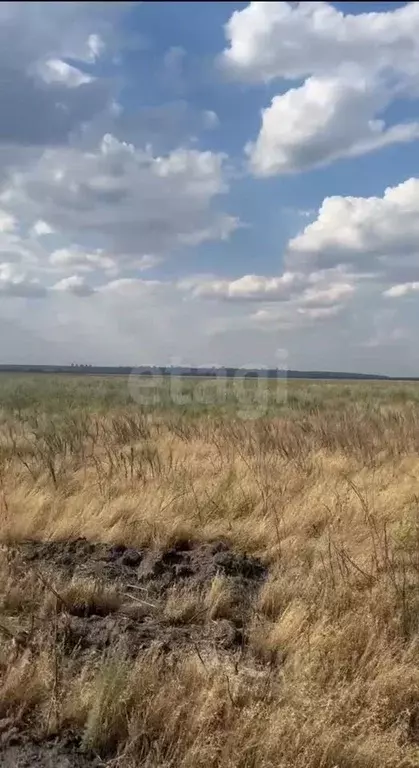 Участок в Ростовская область, Аксайский район, Истоминское с/пос, ... - Фото 0