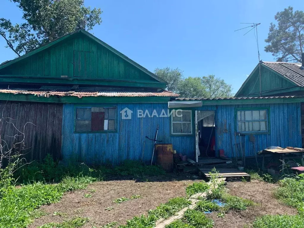 Дом в Амурская область, с. Тамбовка ул. Кооперативная, 2 (40 м) - Фото 0