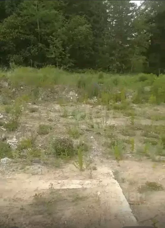 Участок в Брянская область, Жуковский муниципальный округ, с. Ржаница ... - Фото 1