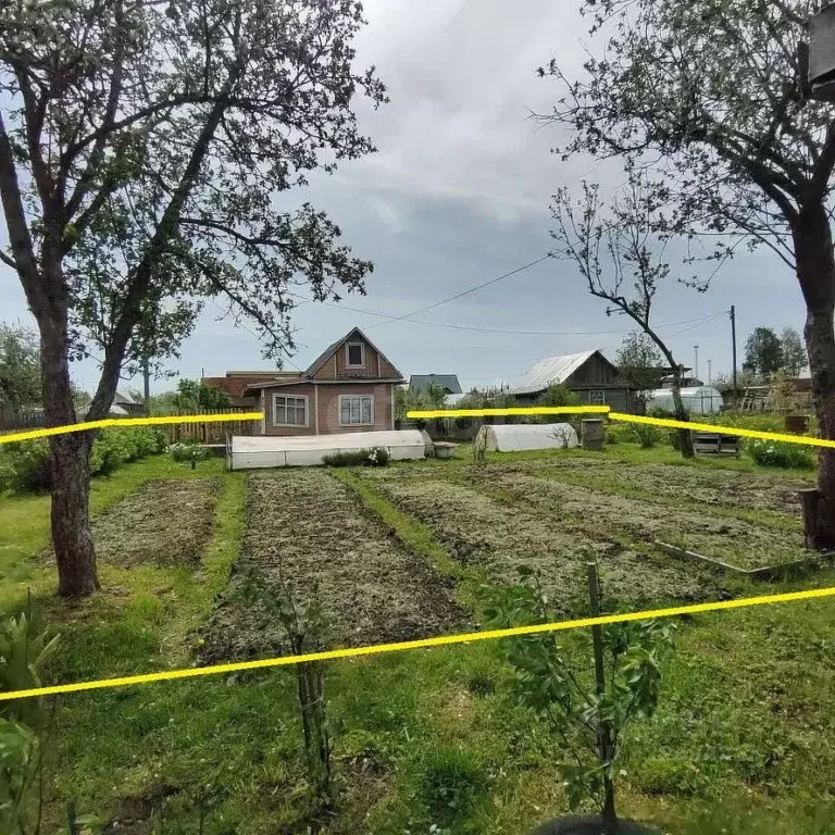 Дом в Вологодская область, Вологда Черемушки-3 садоводческое ... - Фото 2