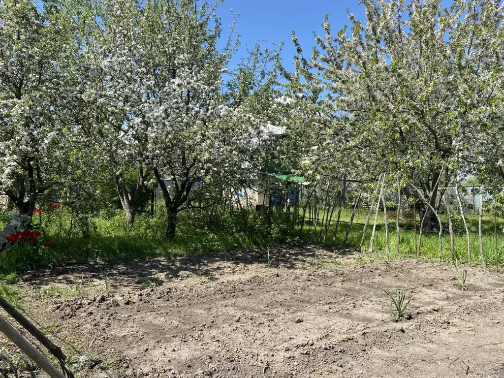 Дом в Ростовская область, Волгодонск Мичуринец СНТ,  (15 м) - Фото 0