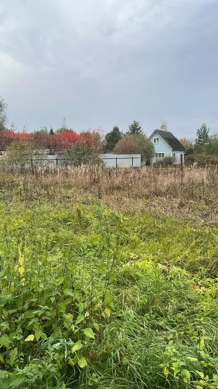 Участок в Московская область, Раменский городской округ, Ежик СНТ  ... - Фото 0