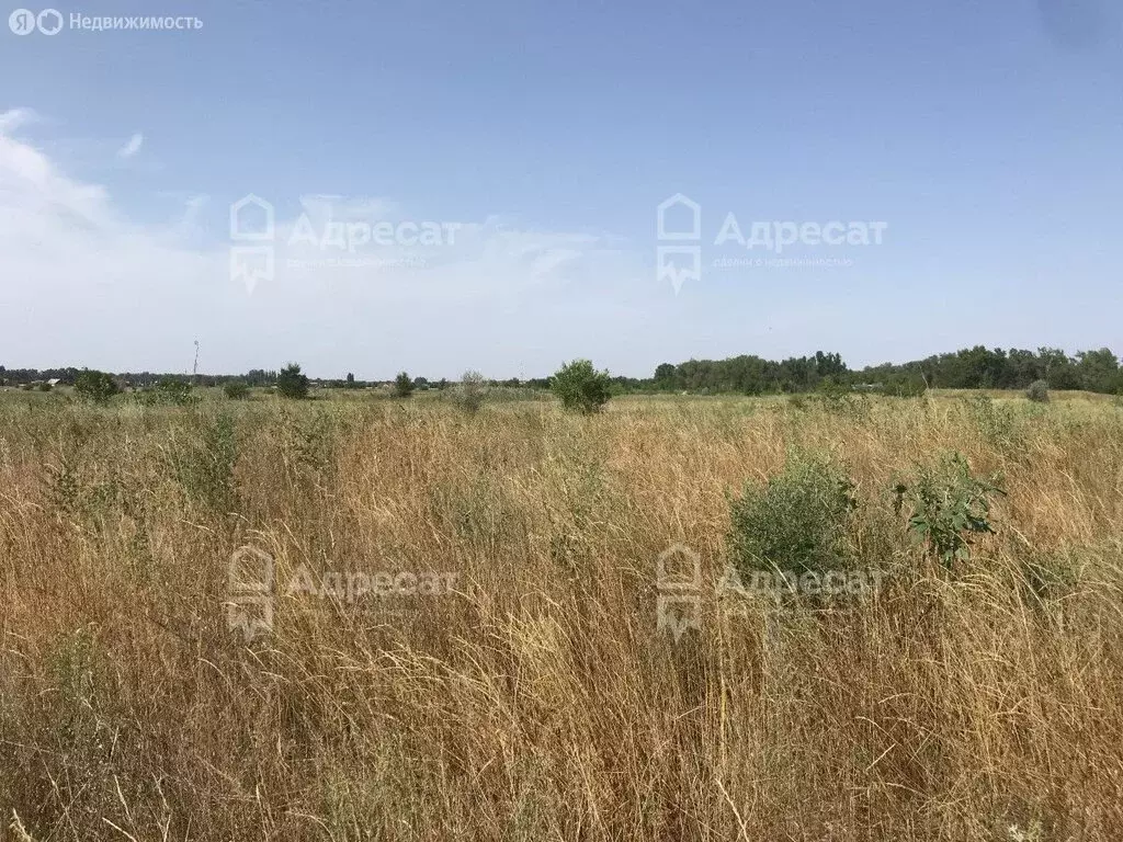 Участок в Среднеахтубинский район, Куйбышевское сельское поселение, ... - Фото 2