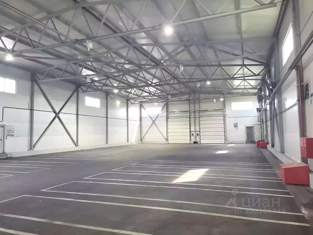 Склад в Санкт-Петербург пос. Шушары, проезд 1-й Бадаевский, 8 (807 м) - Фото 1