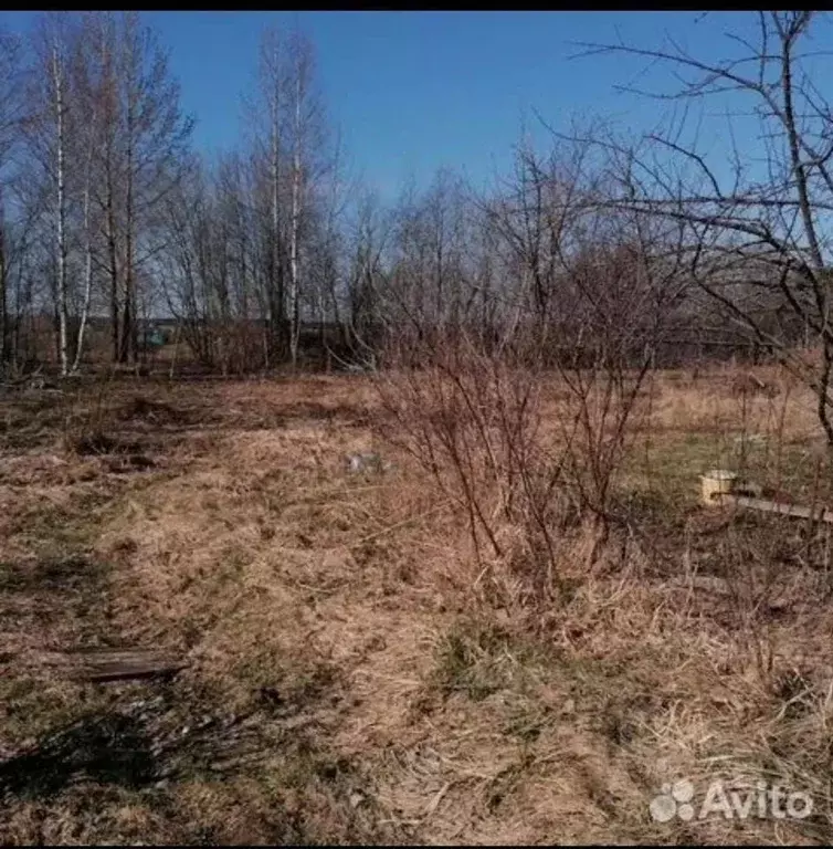 Участок в Вологодская область, Возрождение СТ  (14.0 сот.) - Фото 1