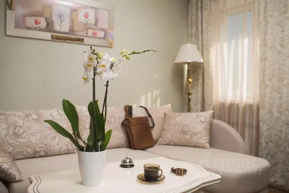 Комната Приморский край, Владивосток Посьетская ул., 20 (36.0 м) - Фото 2