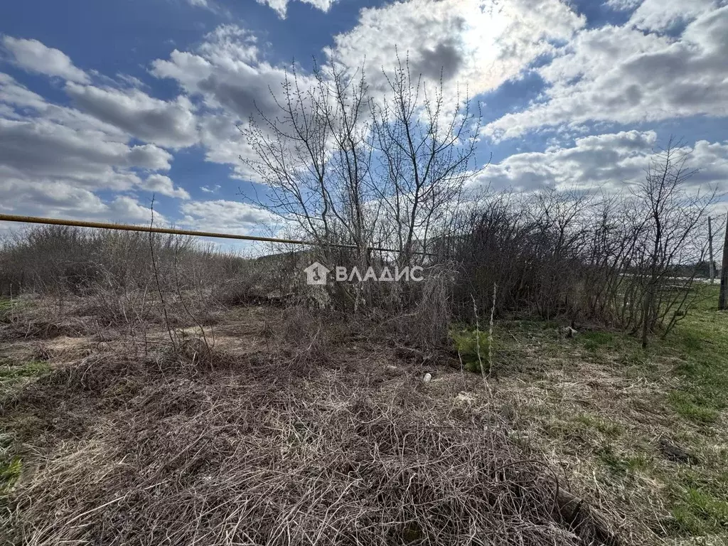 Участок в Пензенская область, Шемышейский район, с. Старая Яксарка ... - Фото 1