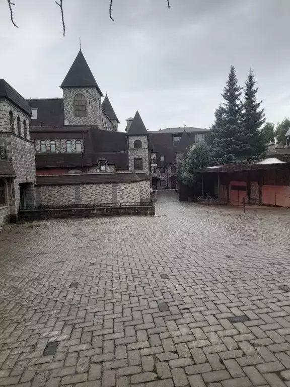 Помещение свободного назначения в Московская область, Одинцовский ... - Фото 1