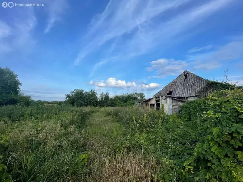 Участок в Шапкино, улица Слобода (33 м) - Фото 1
