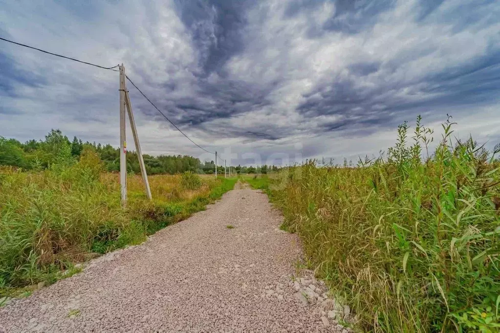 Участок в Ленинградская область, Ломоносовский район, Низинское с/пос, ... - Фото 1