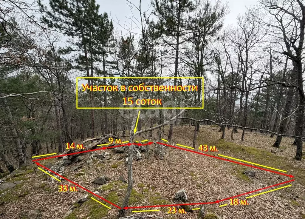 Участок в Крым, Ялта муниципальный округ, Виноградное пгт Космос Стей ... - Фото 2