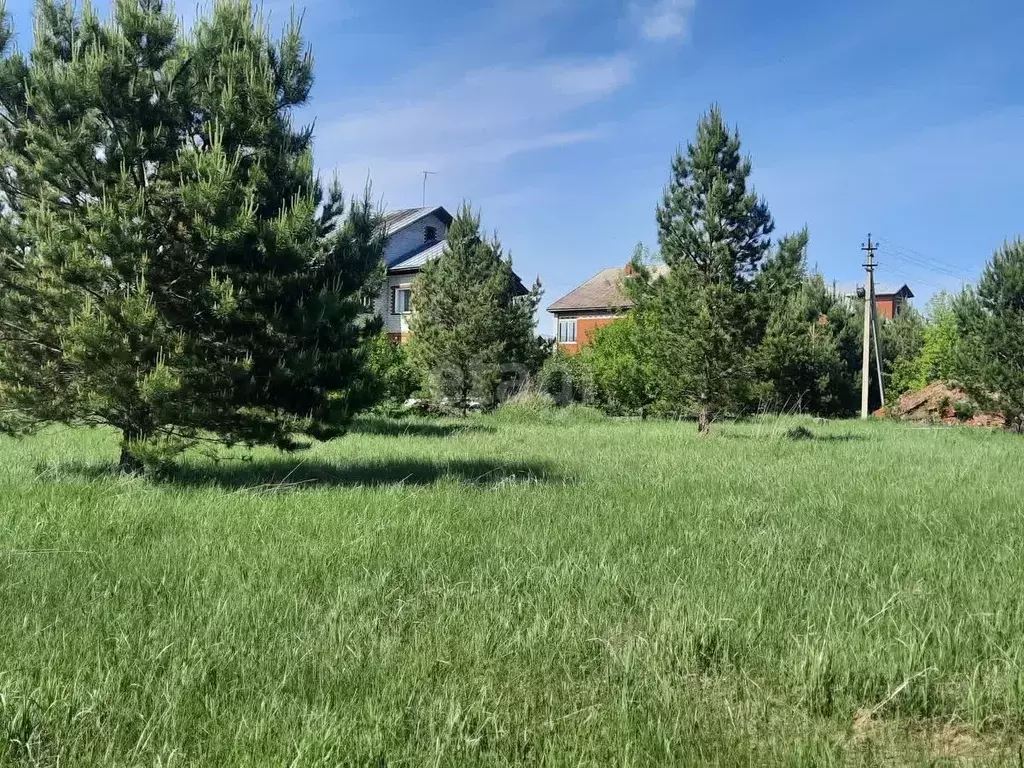 Участок в Алтайский край, Бийск городской округ, с. Фоминское пер. ... - Фото 2