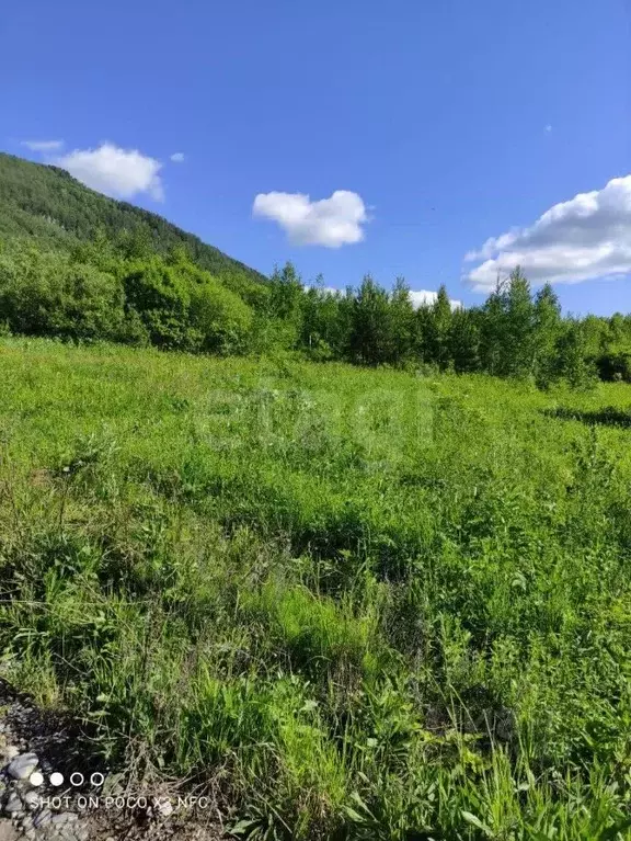 Участок в Алтай, Майминский район, Манжерокское с/пос, с. Озерное ул. ... - Фото 1