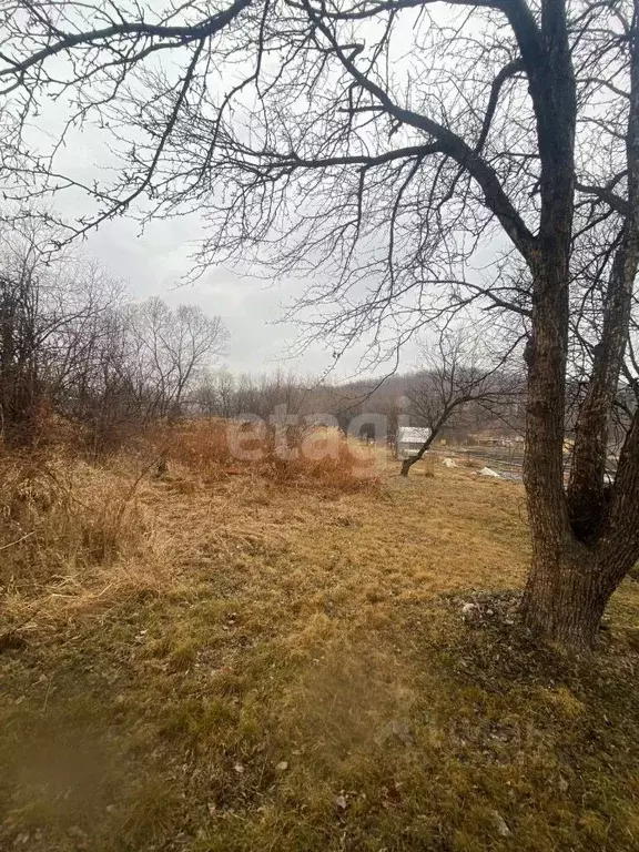 Участок в Амурская область, Благовещенск ул. Цветочная (8.5 сот.) - Фото 0