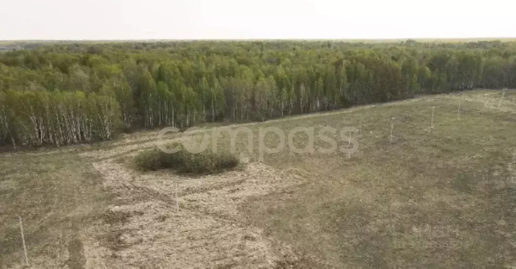 Участок в Тюменская область, Тюменский район, с. Горьковка  (7.5 сот.) - Фото 1