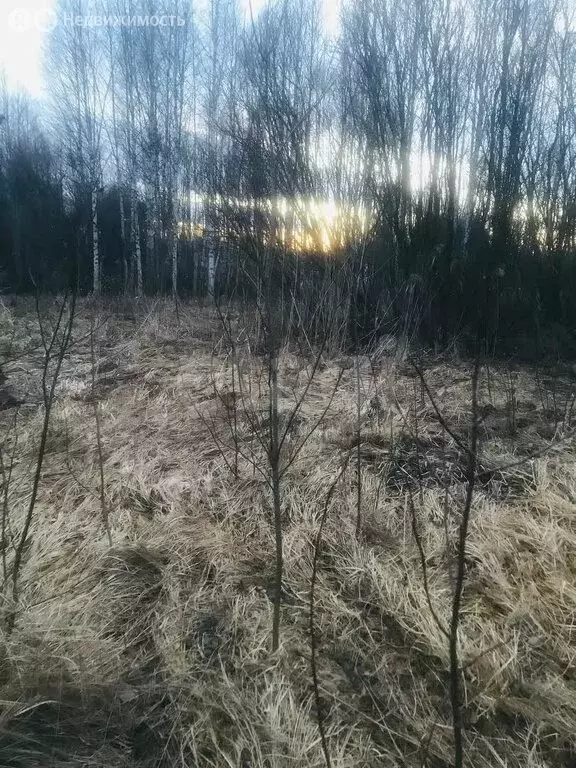 Участок в Вологда, садоводческое товарищество Меркурий (7.5 м) - Фото 1