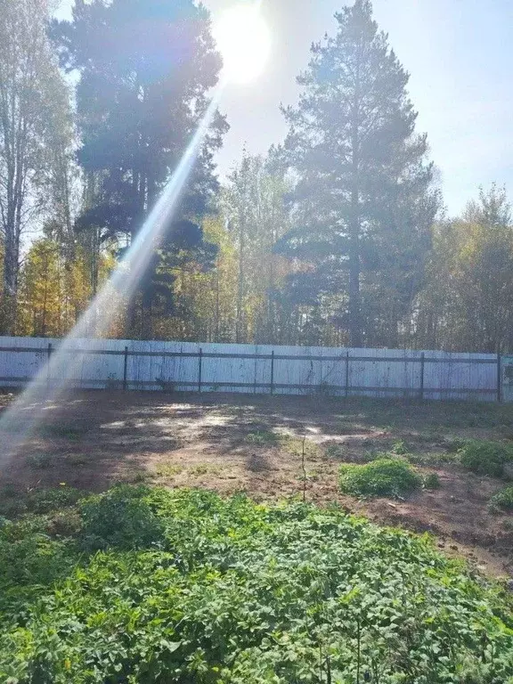 Участок в Свердловская область, Верхнее Дуброво пгт ул. ... - Фото 2