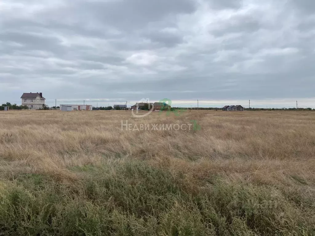 Участок в Краснодарский край, Ейский район, Кухаривское с/пос, с. ... - Фото 1