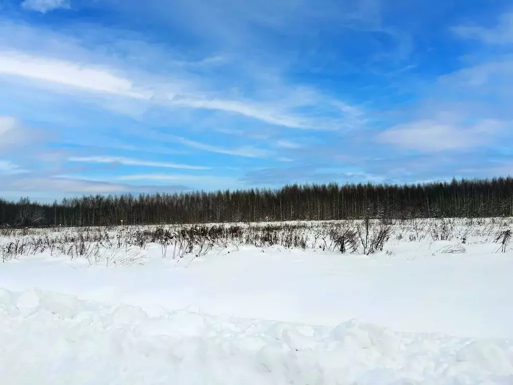 Участок в Московская область, Раменский муниципальный округ, Оттепель ... - Фото 2