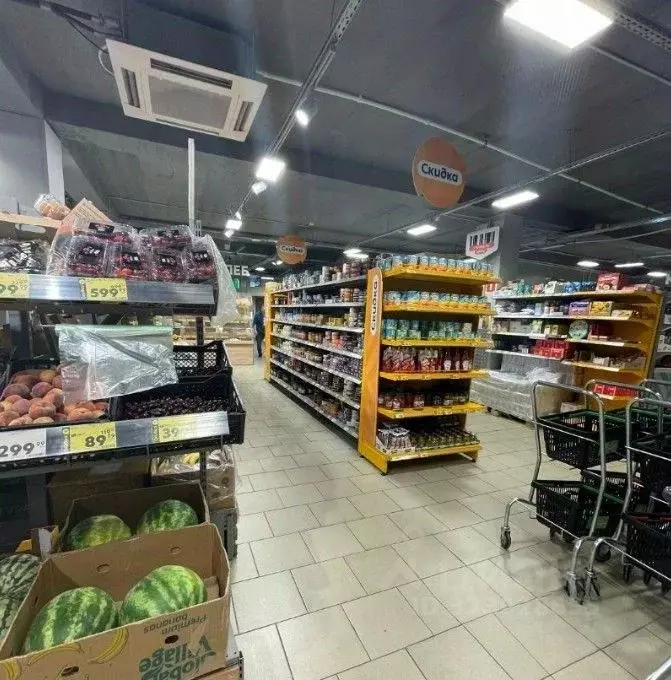 Помещение свободного назначения в Санкт-Петербург Комендантский ... - Фото 1