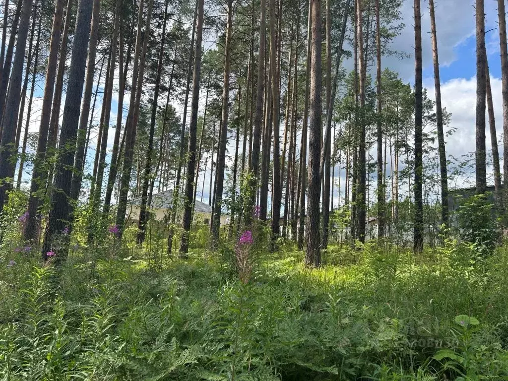 Участок в Свердловская область, Сысерть ул. Вербная (10.0 сот.) - Фото 1