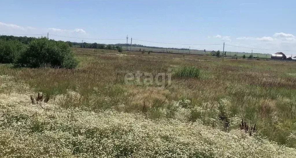 Участок в Ульяновская область, Ульяновский район, Ишеевское городское ... - Фото 1