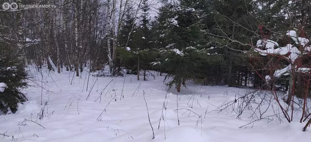 Участок в Одинцовский городской округ, коттеджный посёлок Рига лес ... - Фото 0