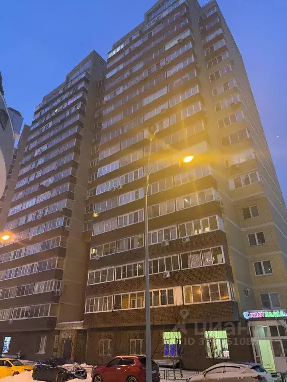 Студия Московская область, Балашиха городской округ, д. Павлино 69 ... - Фото 2