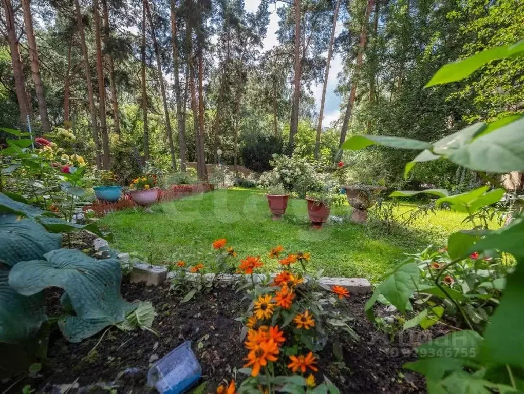 Участок в Москва ул. 10-я Новые Сады, 12С1 (10.0 сот.) - Фото 1