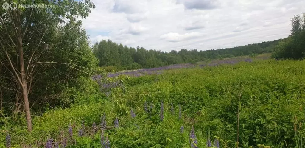 Участок в Нижегородская область, Богородский муниципальный округ, ... - Фото 1