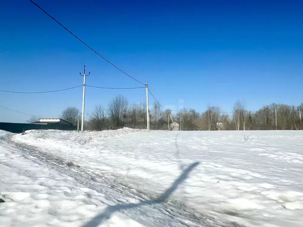 Участок в Московская область, Дмитровский муниципальный округ, с. ... - Фото 1