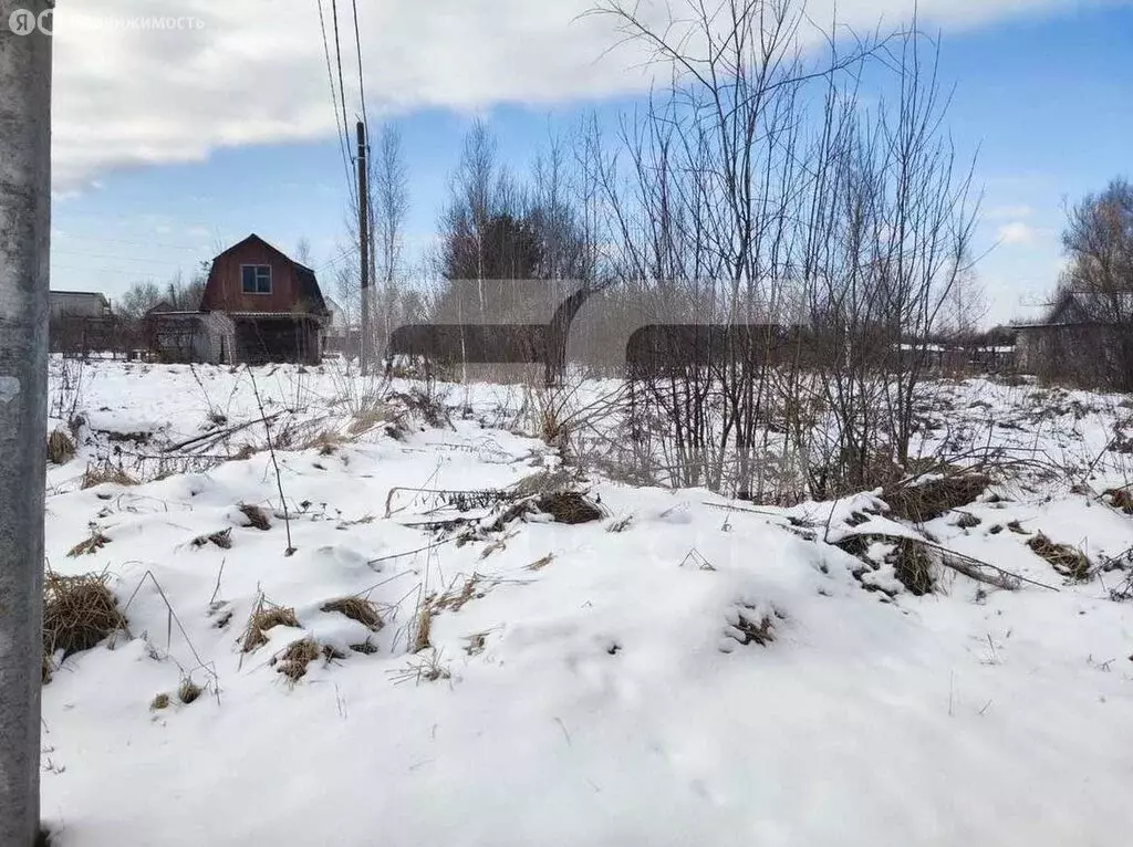 Участок в Брянск, территория СО Мечта (8 м) - Фото 1