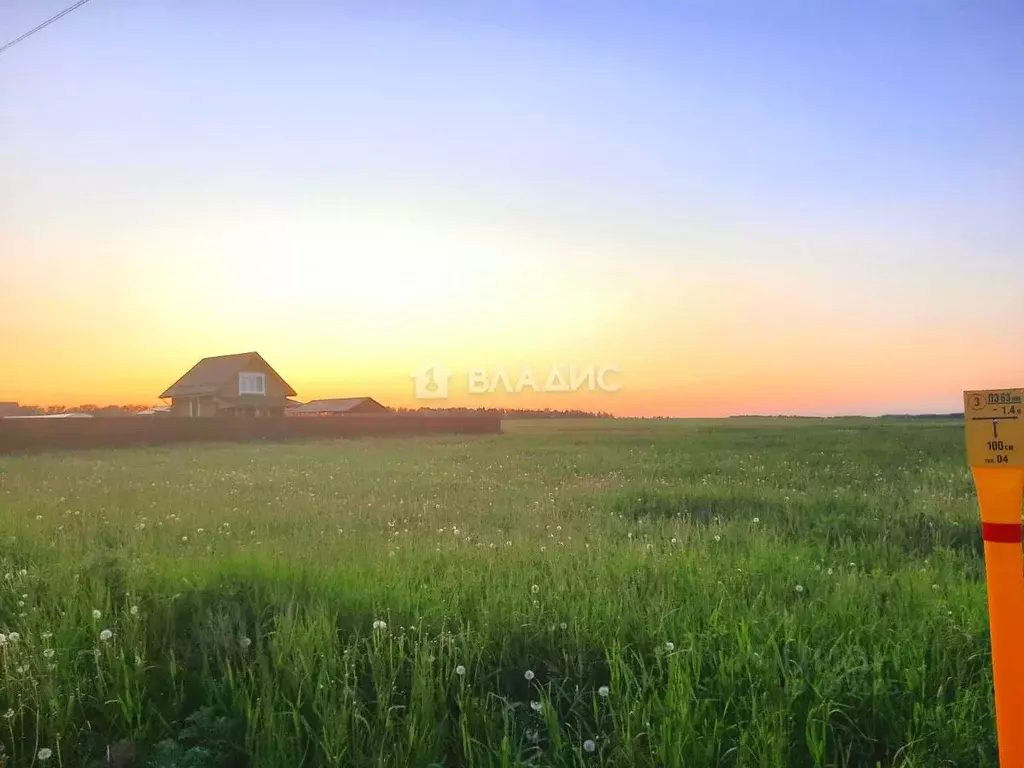 Купить Земельный Участок В Сущево Владимирская