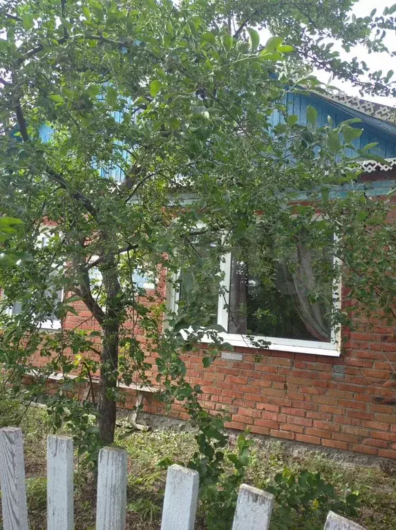 Дом 79,2 м на участке 26 сот. - Фото 0