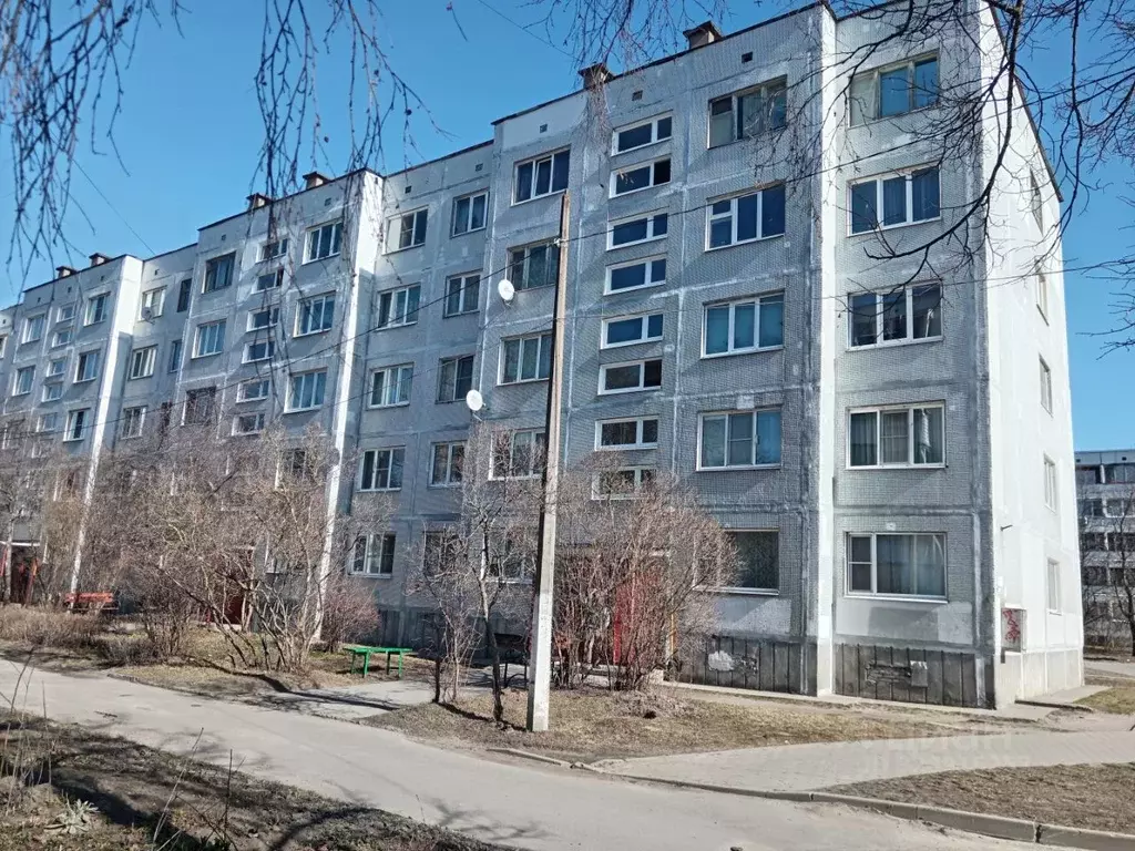 1-к кв. Ленинградская область, Приозерск ул. Чапаева, 34 (35.3 м) - Фото 1