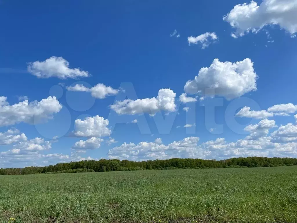 Участок 11,4 га (СНТ, ДНП) - Фото 1