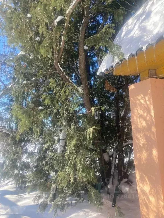 Дом в Смоленская область, Гагаринский муниципальный округ, д. Кожино ... - Фото 2