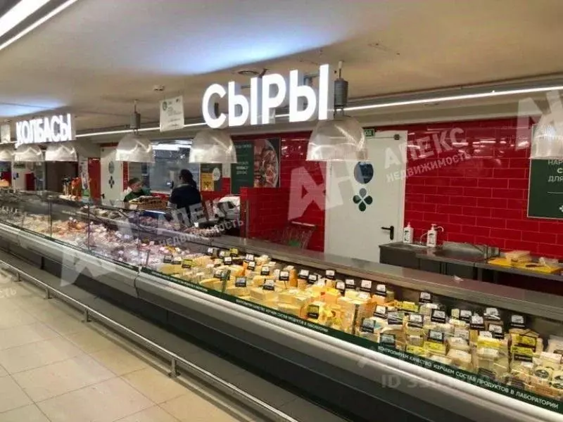 Помещение свободного назначения в Москва просп. Мира, 33к1 (1333 м) - Фото 2