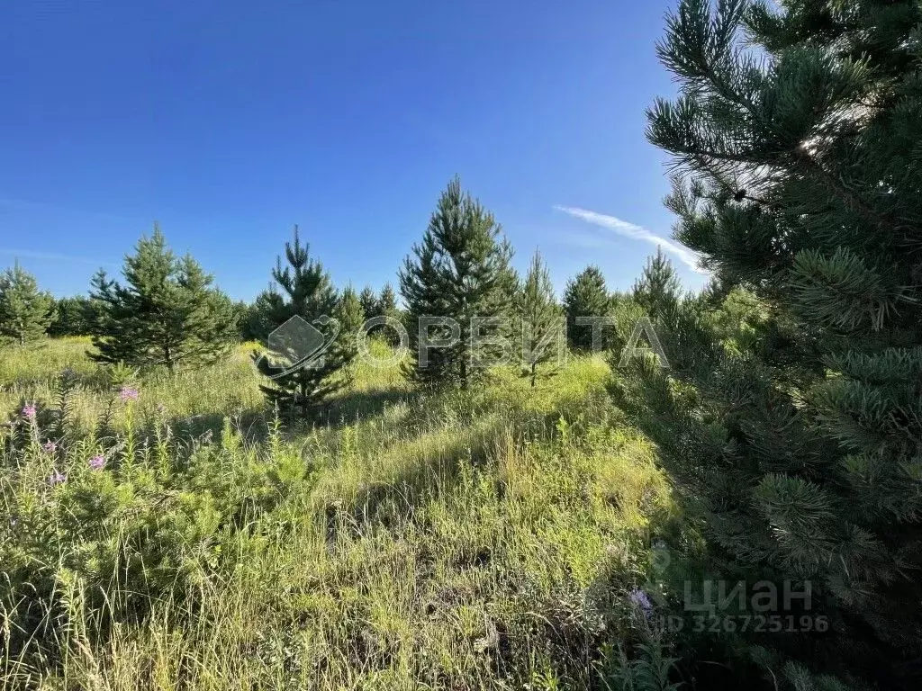 Участок в Свердловская область, Слободо-Туринский район, ... - Фото 2