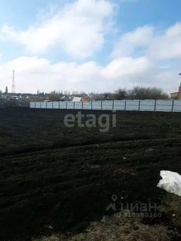 Участок в Белгородская область, Шебекинский муниципальный округ, с. ... - Фото 1