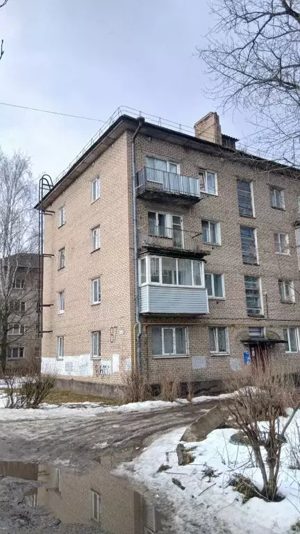 1-к кв. Ленинградская область, Луга просп. Кирова, 87 (31.5 м) - Фото 1