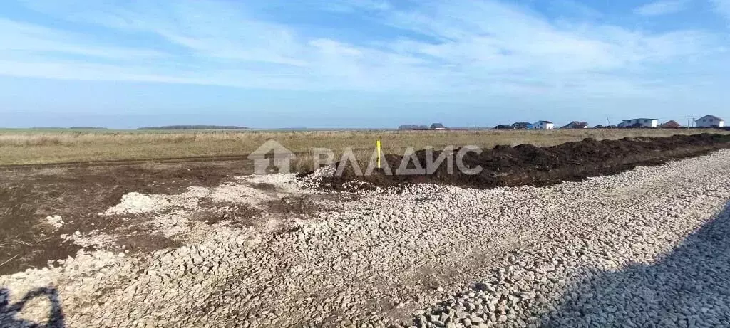 Участок в Владимирская область, Суздальский район, Боголюбовское ... - Фото 1