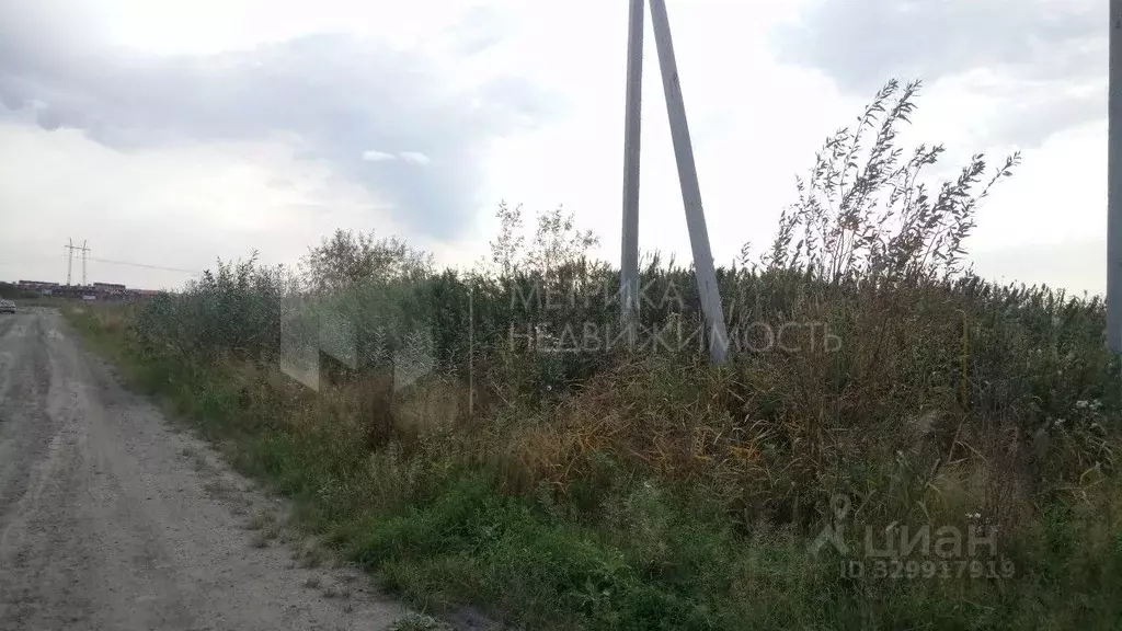 Участок в Тюменская область, Тюмень На Липовом кп, ул. Николая ... - Фото 2
