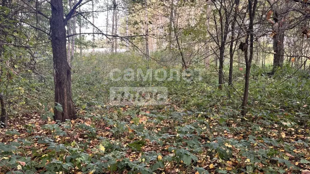Участок в Калужская область, Перемышльский район, Покровское с/пос, д. ... - Фото 2