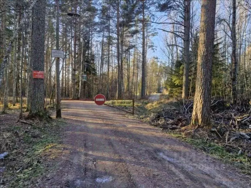 Участок в Ленинградская область, Лужский район, Толмачевское городское ... - Фото 1